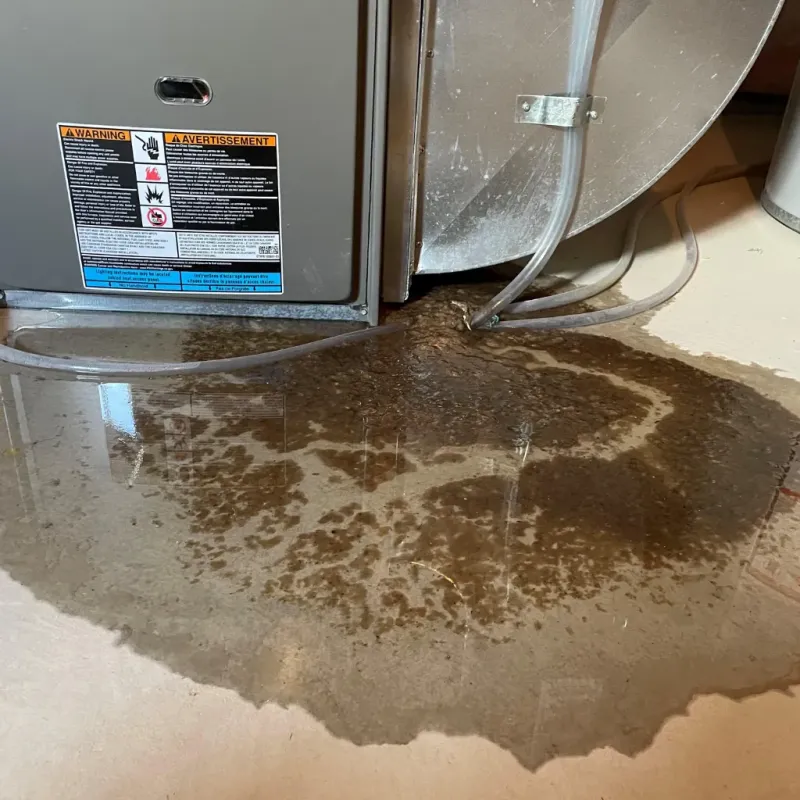 Appliance Leak Cleanup in Nevada, IA